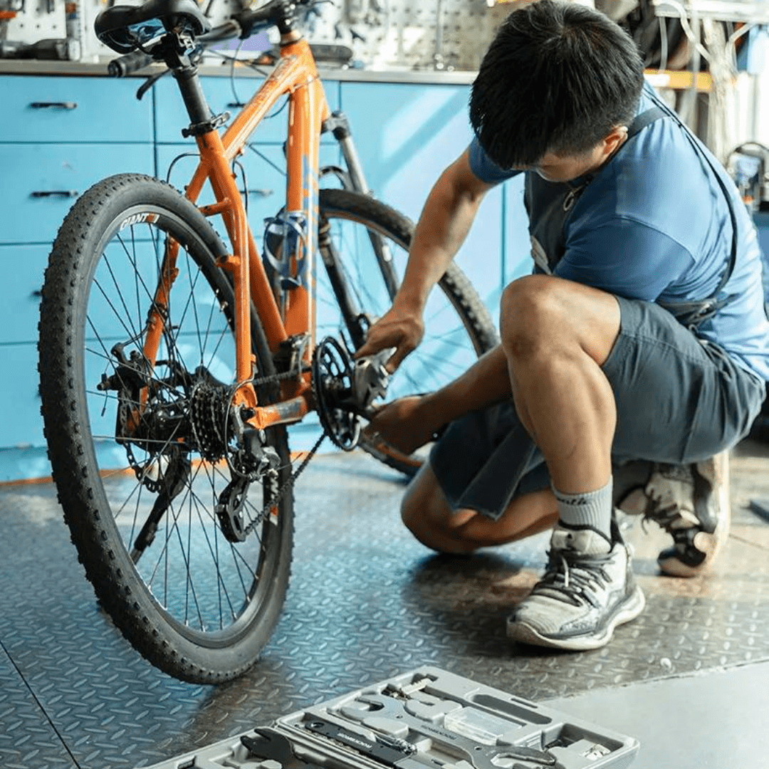 Cycle Repair - gears